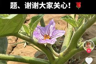 火力全开！尼昂次节16分 半场11分钟8中8砍20分